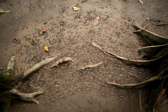 Maria Laet, Terra (Parque Lage), 2015. inkjet print on cotton paper - 53 x 80 cm. Edition of 8 + 2AP 