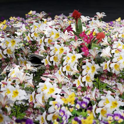 Andrea Mastrovito, Enciclopedia dei fiori da Giardino, Courtesy 1000eventi gallery (Milan)