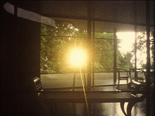 Louidgi Beltrame, Cinelandia, 2012. Image de film super 8 transféré en vidéo HD, 30’30’’. Courtoisie Galerie Jousse entreprise, Paris