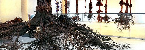 Visuel de l’exposition de Pascal Cribier, Les racines ont des feuilles...