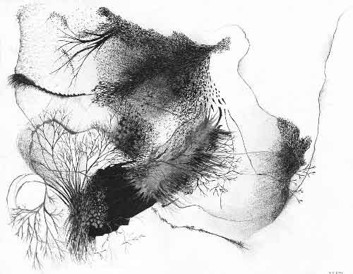 Gaëlle Chotard, États d’âmes, encre de Chine, crayon, encre argentée, 31 x 24 cm, 2007