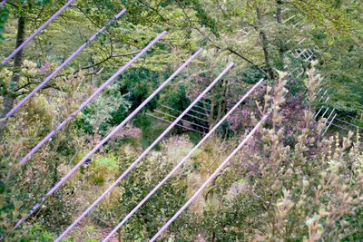 Vues diverses du Jardin Oblique de Marie-Hélène Richard dans le Jardin des terres australes