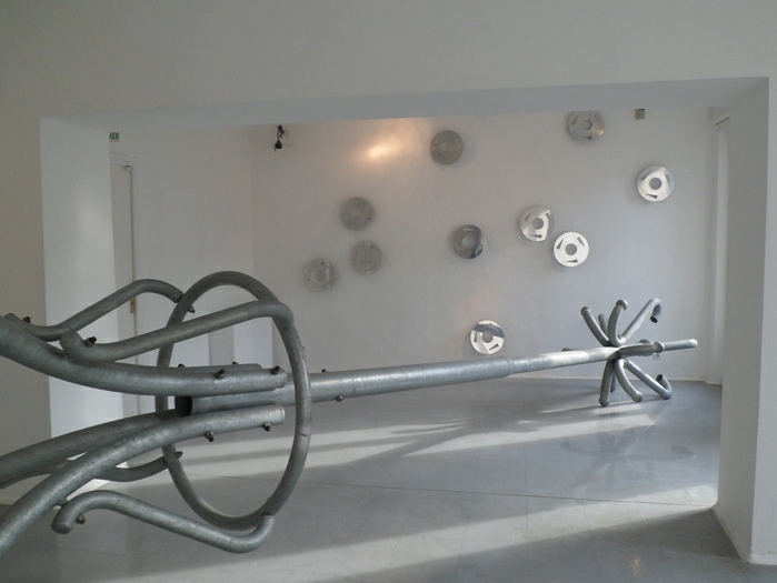 Lilian Bourgeat, 14 punaises, 2007, Aluminium, 36 cm de diamètre + Perroquet, 2011, Aluminium, 650 X 150 cm
