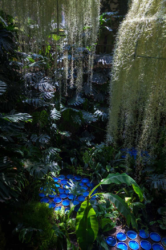 Patrick Nadeau, Rainforest 4, Serre du Domaine de Chaumont-sur-Loire. Photo Hervé Ternisien