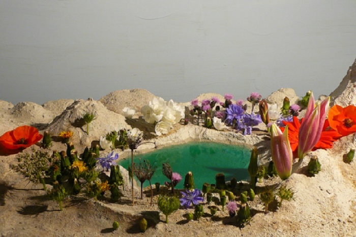 Clément Richem, Oasis. 2013 .Vidéo, son / Video, sound, 1’ 31’’. Courtesy de l’artiste.