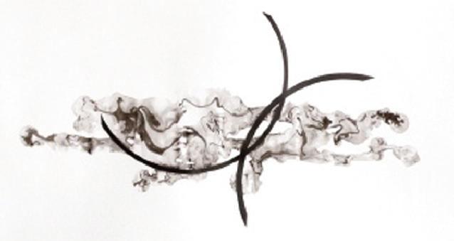 Franzisca Furter, Internal friction / Hima, 2009. Dessin: encre et crayon sur papier, 33 x 48 cm © Franziska Furter, courtoisie galerie Schleicher-Lange, Paris