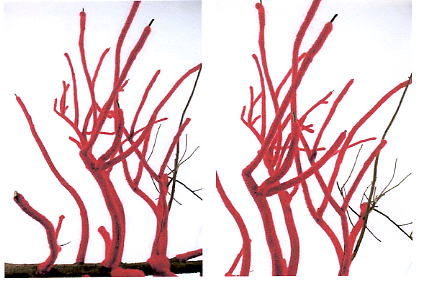 Ludivine Caillard, A Red Dress For A Tree, 2008. Bois, laine. Photos: Marc Domage