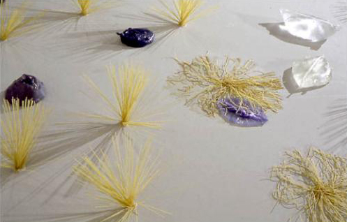 Michel Blazy, Spaghetti-Méduses, 1999. Spaghetti, sacs en plastique, eau. Dimensions variables. Courtoisie Galerie Art : Concept Paris © Michel Blazy