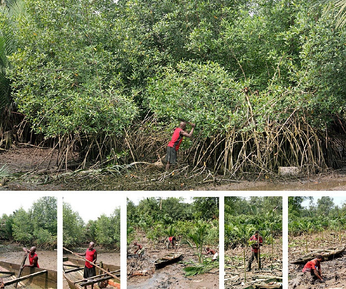 Gilles Bruni, La sablière dans la mangrove, Douala, janvier 2009. Photos © Gilles Bruni